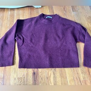 Zara Rich Plum Crew Neck Sweater